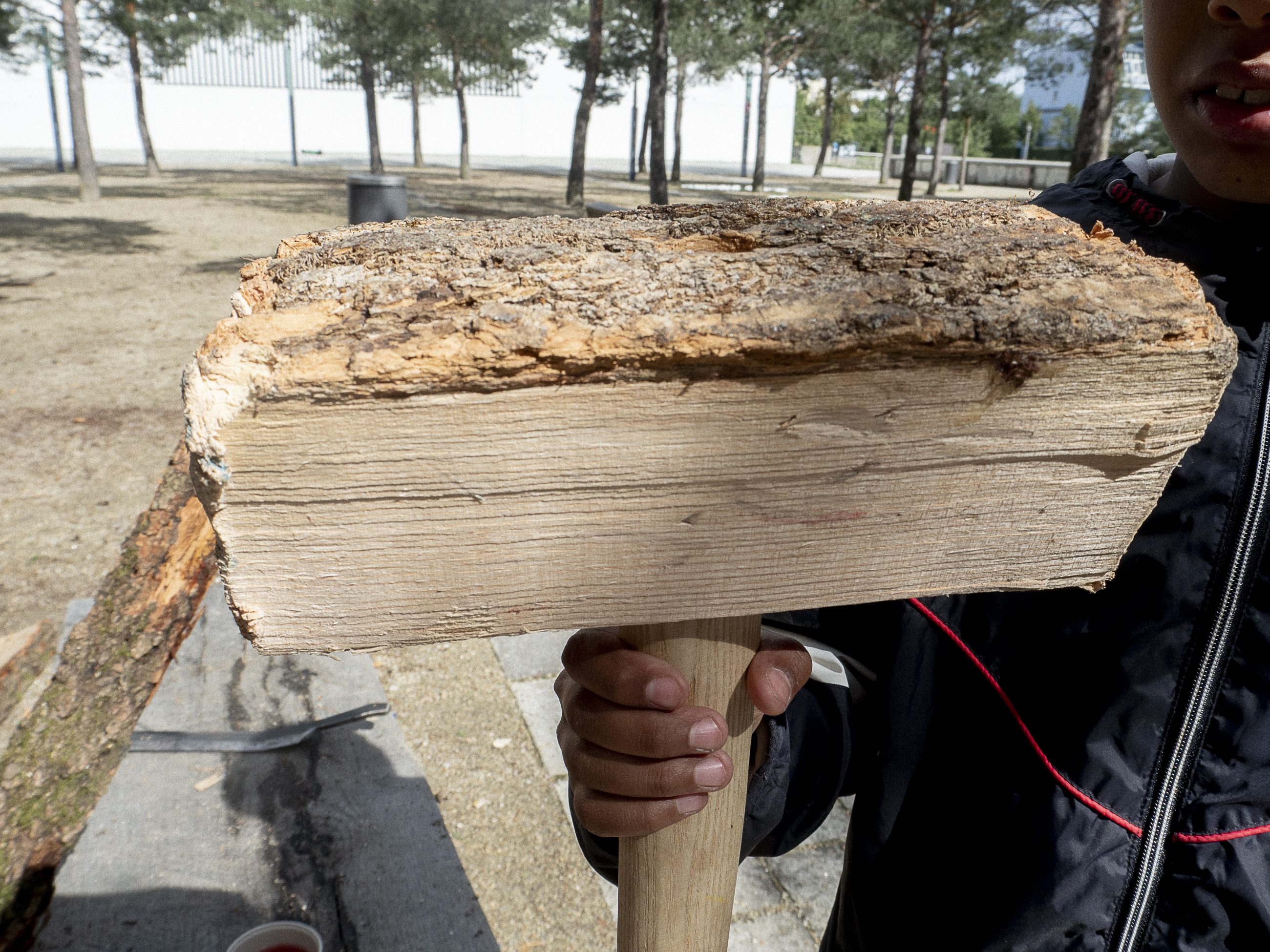 Tree_PONG_II_010825_web-81.jpg