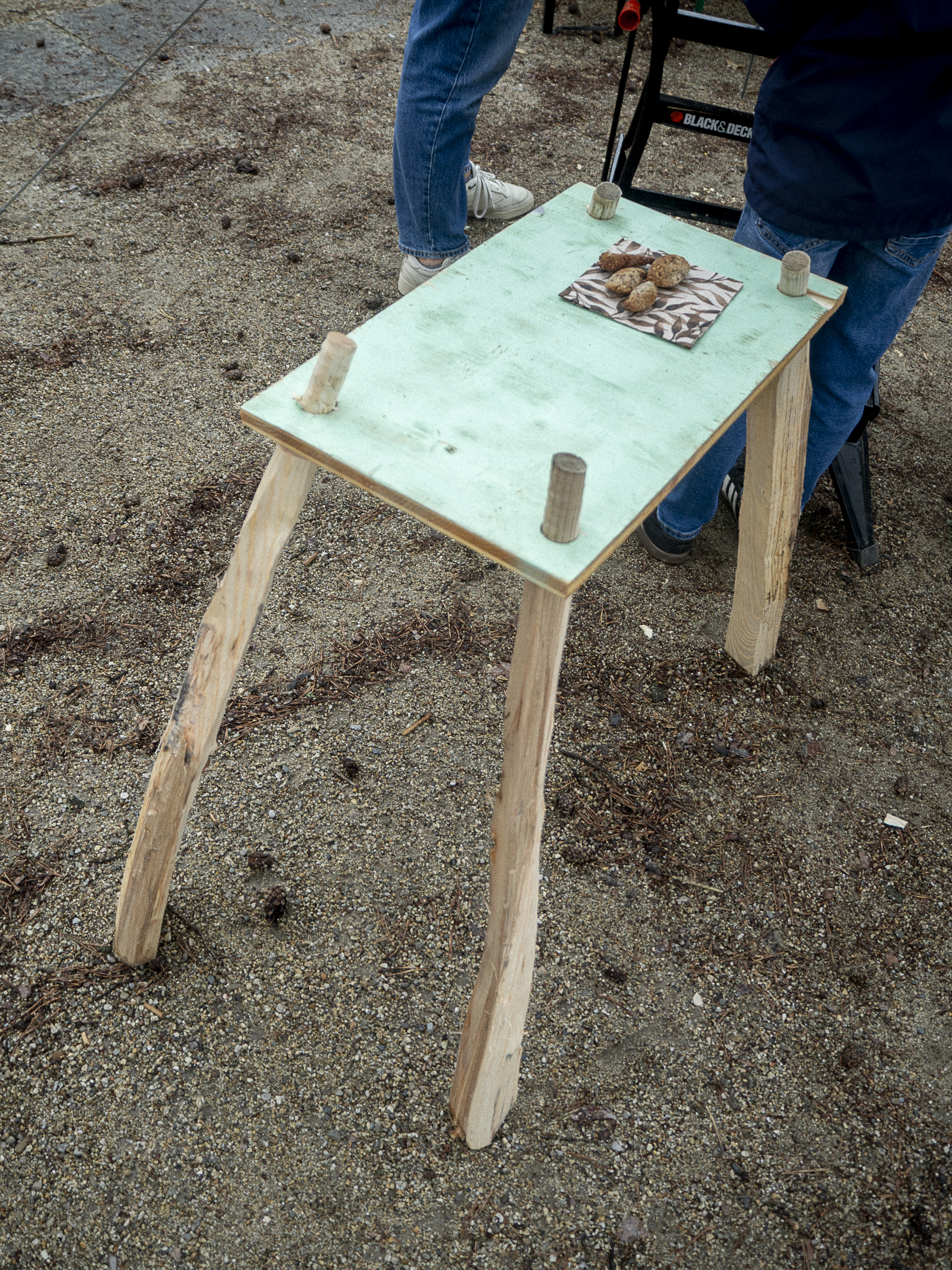 Tree_PONG_II_020825_web-25.jpg