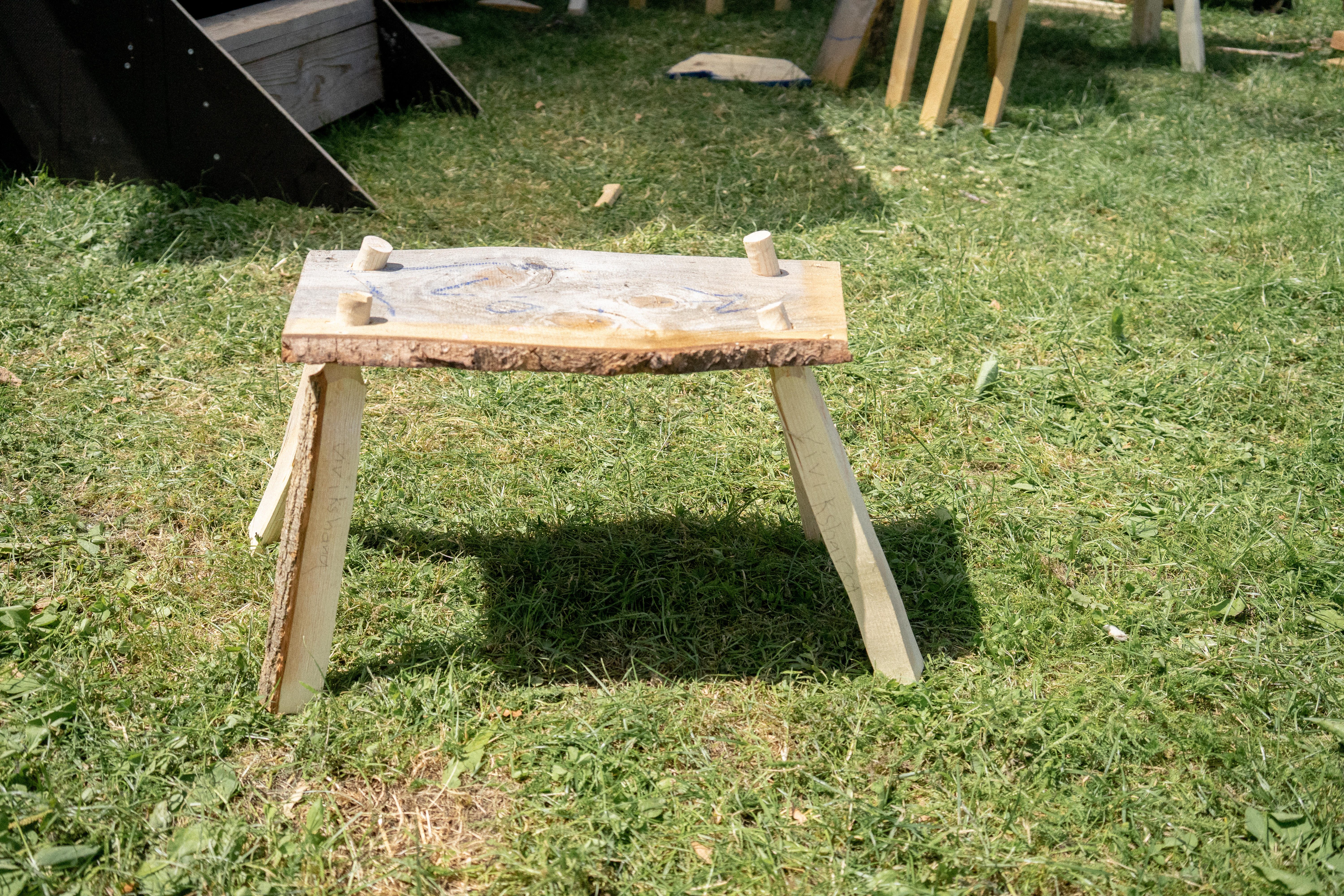 TreePONG_140625_jpg-147.jpg
